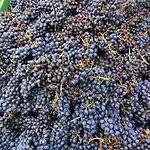 Summer Wine דירה