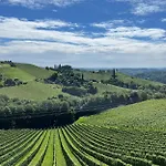 Summer Wine