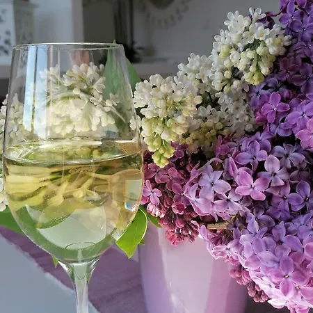 Summer Wine Romantisches, Fahrradfreundliches Weinbergidyll Mit Traumausblick Gleich Neben Buschenschank! Apartamento