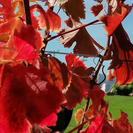 Summer Wine Romantisches, Fahrradfreundliches Weinbergidyll Mit Traumausblick Gleich Neben Buschenschank! Apartamento Leutschach