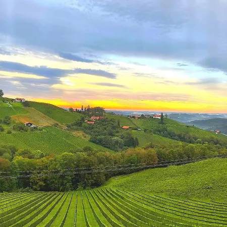 Summer Wine Appartement