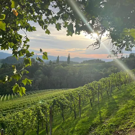 Summer Wine Romantisches, Fahrradfreundliches Weinbergidyll Mit Traumausblick Gleich Neben Buschenschank! *