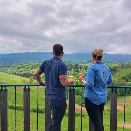 Апартаменты Summer Wine Лойчах