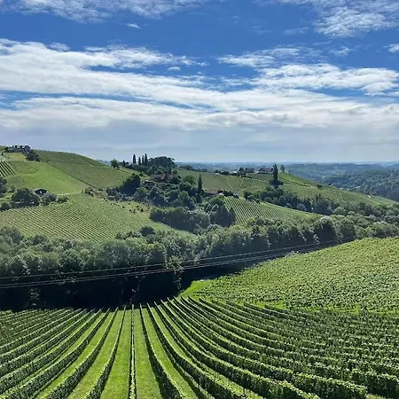 Summer Wine Romantisches, Fahrradfreundliches Weinbergidyll Mit Traumausblick Gleich Neben Buschenschank!
