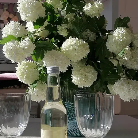 Summer Wine Romantisches, Fahrradfreundliches Weinbergidyll Mit Traumausblick Gleich Neben Buschenschank! Apartamento