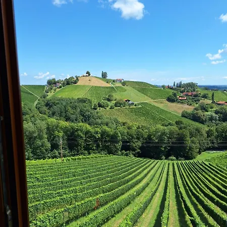 Summer Wine Romantisches, Fahrradfreundliches Weinbergidyll Mit Traumausblick Gleich Neben Buschenschank!