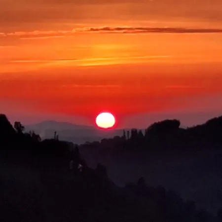 Summer Wine Leutschach