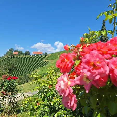 Summer Wine Romantisches, Fahrradfreundliches Weinbergidyll Mit Traumausblick Gleich Neben Buschenschank! Lejlighed