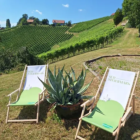 Summer Wine Romantisches, Fahrradfreundliches Weinbergidyll Mit Traumausblick Gleich Neben Buschenschank! Апартаменты *