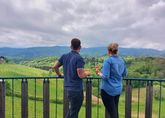 公寓 Summer Wine 里欧查赫