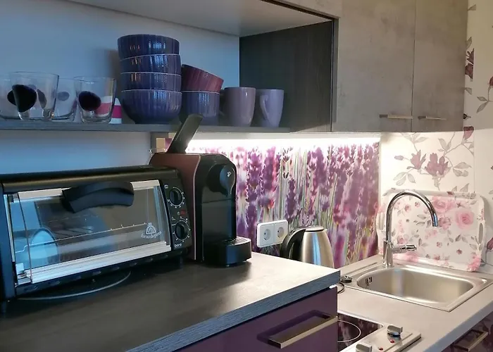 公寓 Summer Wine 里欧查赫