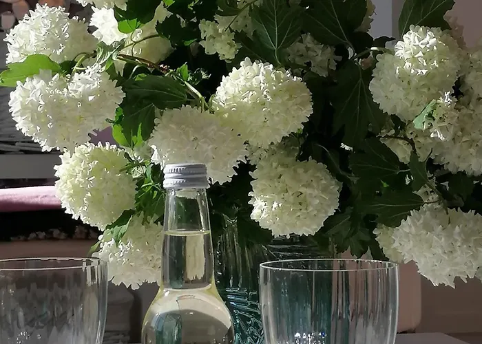 Summer Wine Апартаменты