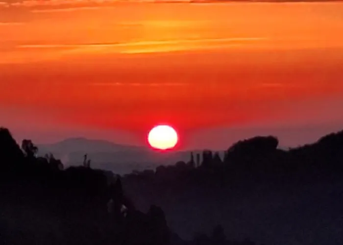 Summer Wine Leutschach